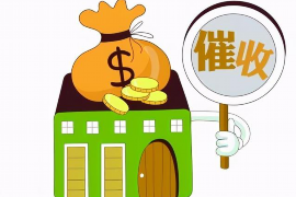 钟祥为什么选择专业追讨公司来处理您的债务纠纷？